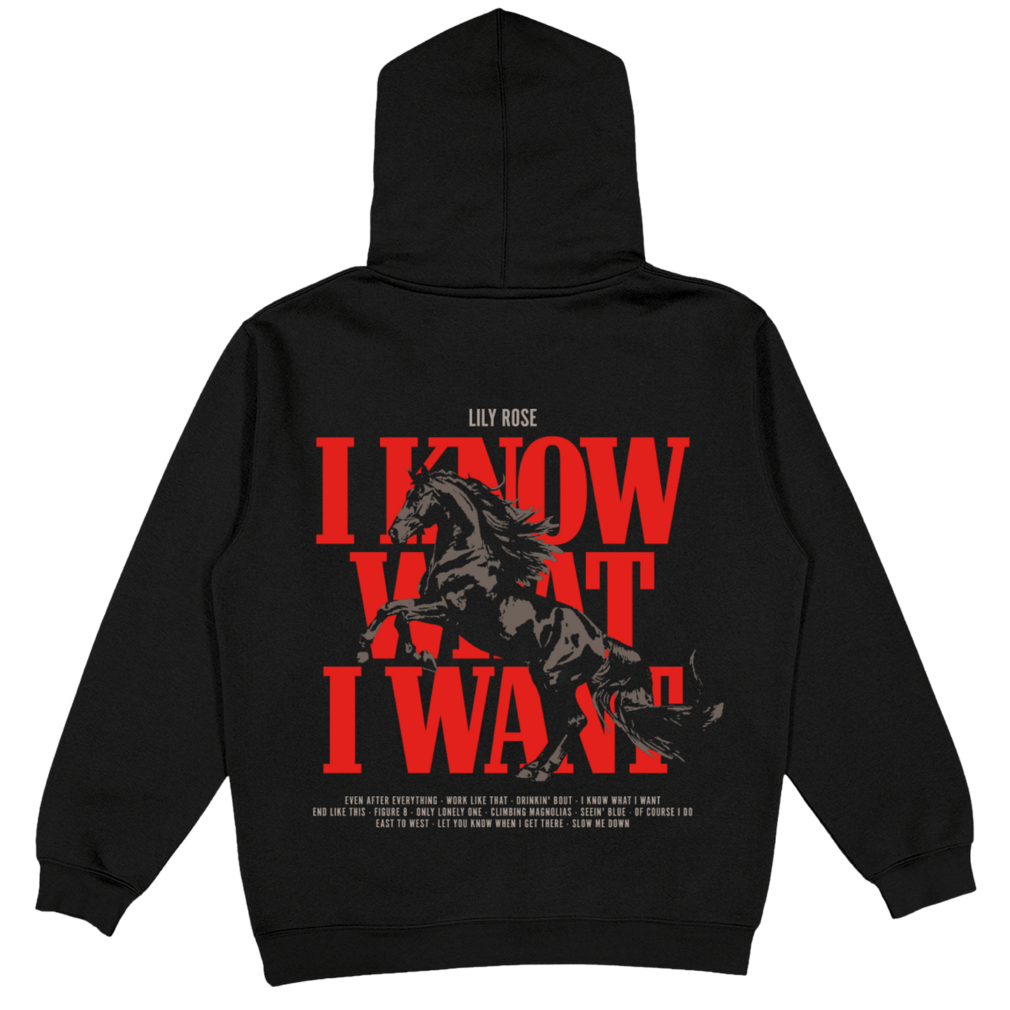 Horse Hoodie